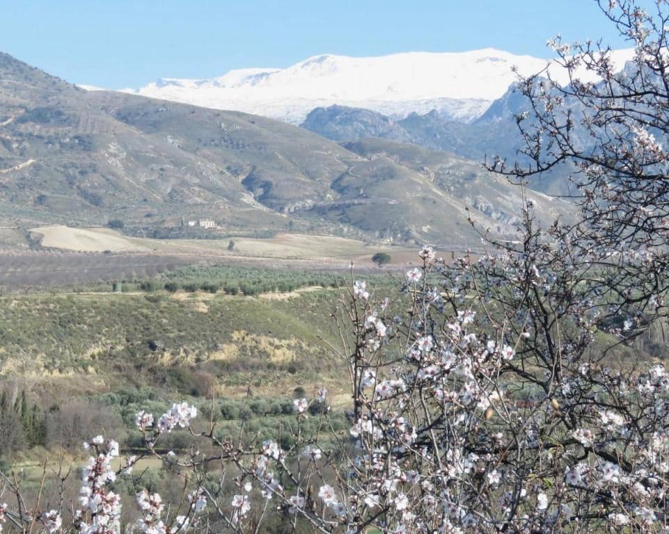 6 camera da letto Finca/Casa di Campagna in vendita in Dilar - 420.500 € (Rif: 5455807)