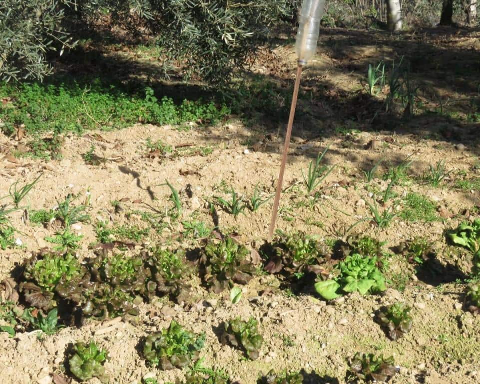 6 camera da letto Finca/Casa di Campagna in vendita in Dilar - 420.500 € (Rif: 5455807)