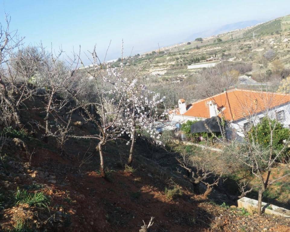 6 camera da letto Finca/Casa di Campagna in vendita in Dilar - 420.500 € (Rif: 5455807)