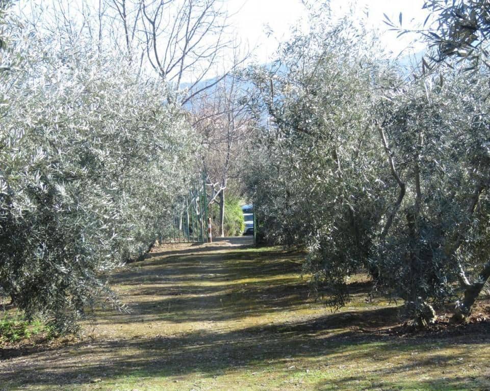 6 camera da letto Finca/Casa di Campagna in vendita in Dilar - 420.500 € (Rif: 5455807)