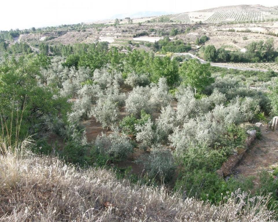 6 camera da letto Finca/Casa di Campagna in vendita in Dilar - 420.500 € (Rif: 5455807)