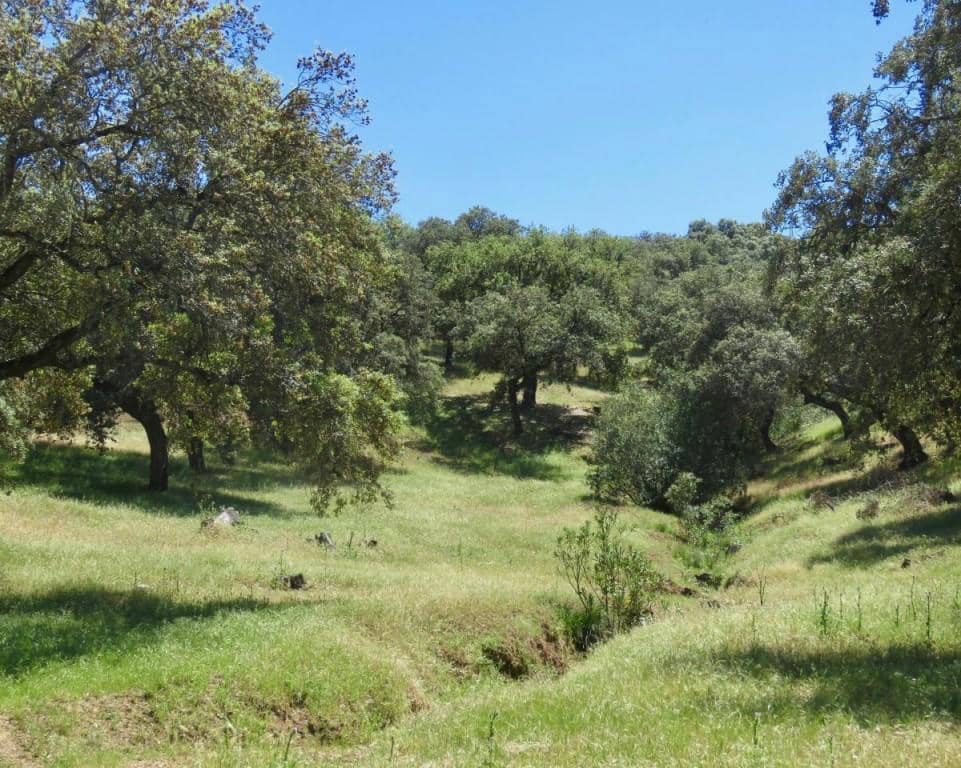 7 soverom Finca/Herregård til salgs i Almaden de la Plata med svømmebasseng - € 650 000 (Ref: 5455813)