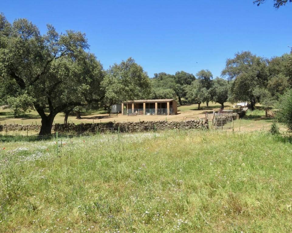 7 soverom Finca/Herregård til salgs i Almaden de la Plata med svømmebasseng - € 650 000 (Ref: 5455813)