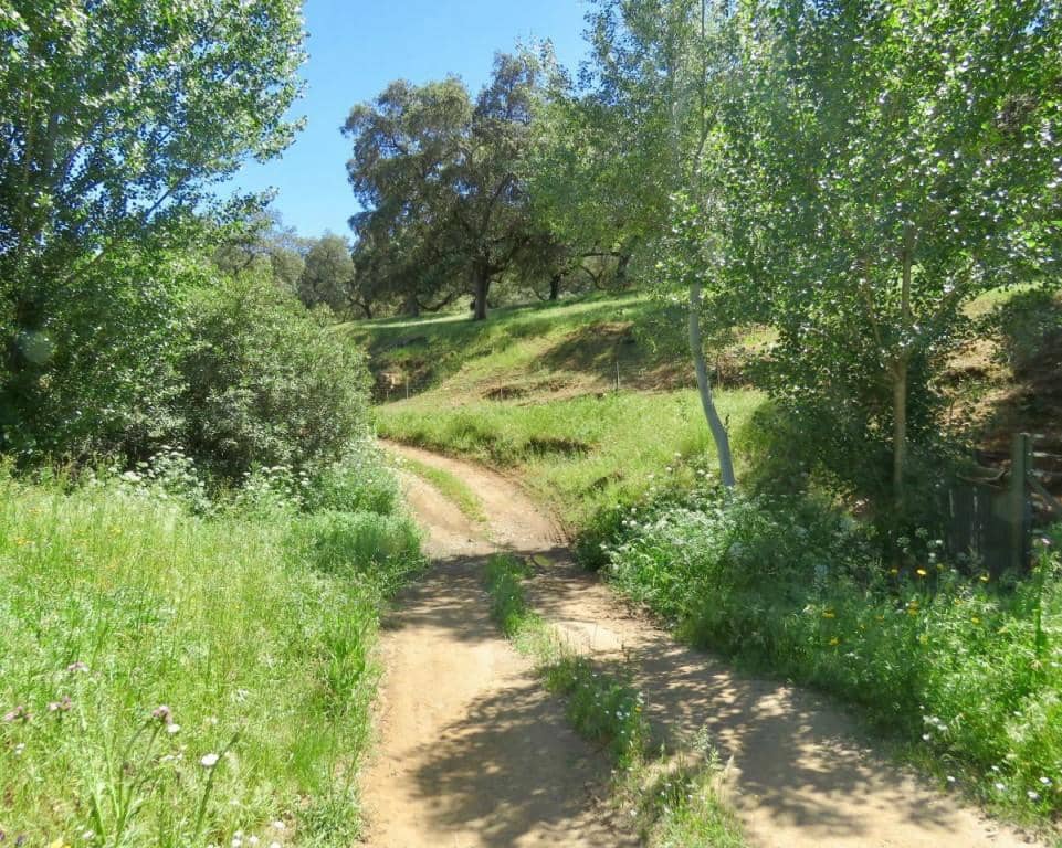 7 soverom Finca/Herregård til salgs i Almaden de la Plata med svømmebasseng - € 650 000 (Ref: 5455813)