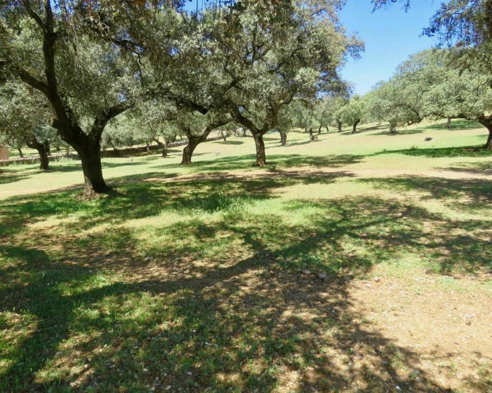7 soverom Finca/Herregård til salgs i Almaden de la Plata med svømmebasseng - € 650 000 (Ref: 5455813)