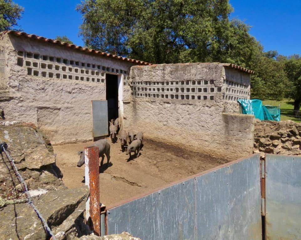7 soverom Finca/Herregård til salgs i Almaden de la Plata med svømmebasseng - € 650 000 (Ref: 5455813)