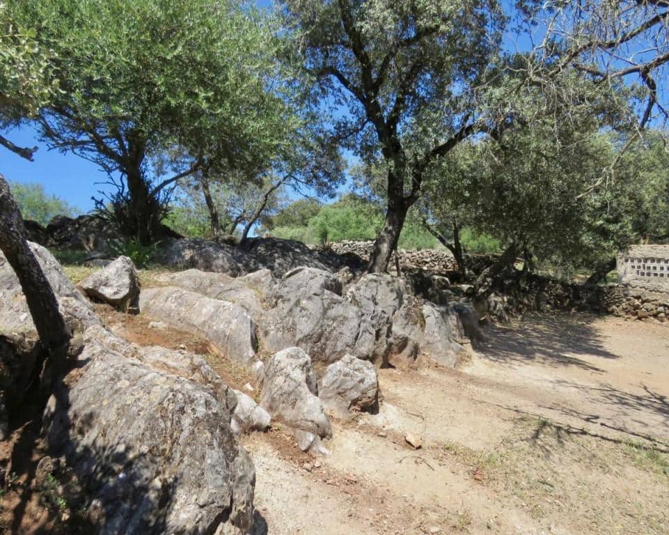 7 soverom Finca/Herregård til salgs i Almaden de la Plata med svømmebasseng - € 650 000 (Ref: 5455813)