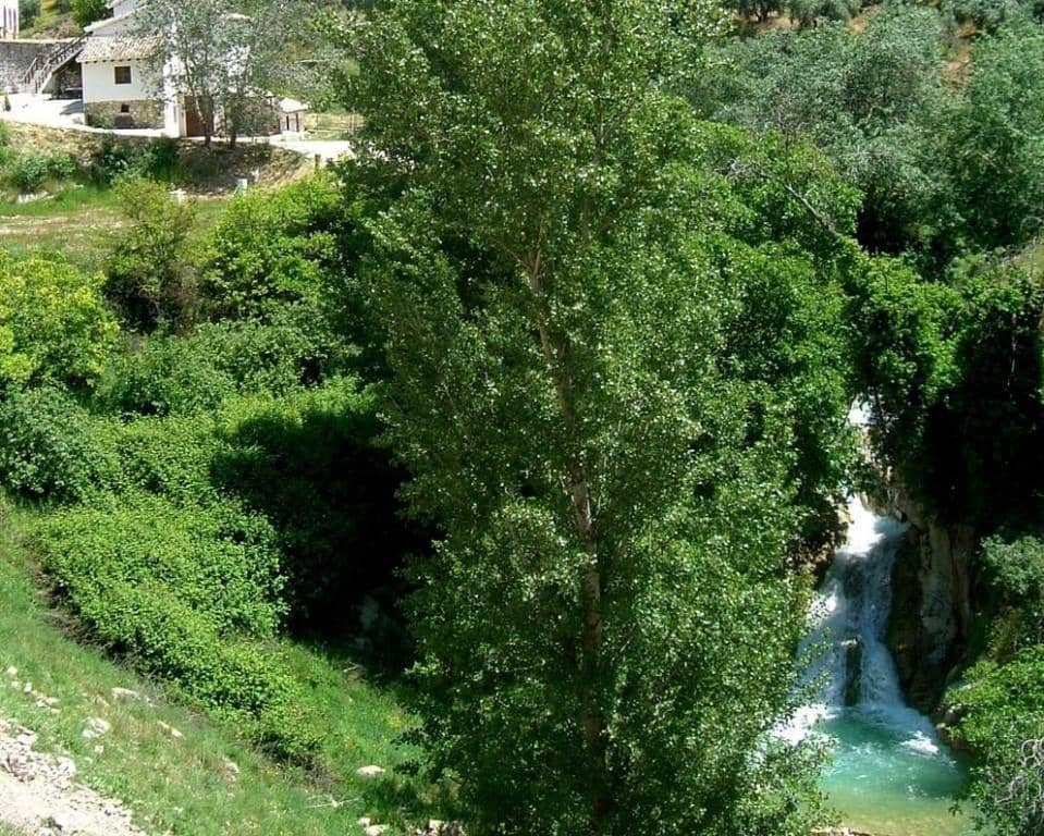 11 soveværelse Finca/Landehus til salg i Montefrio - € 368.000 (Ref: 5455829)