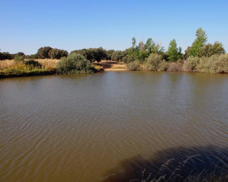 10 soveværelse Finca/Landehus til salg i Parrillas med swimmingpool - € 1.050.000 (Ref: 5755661)