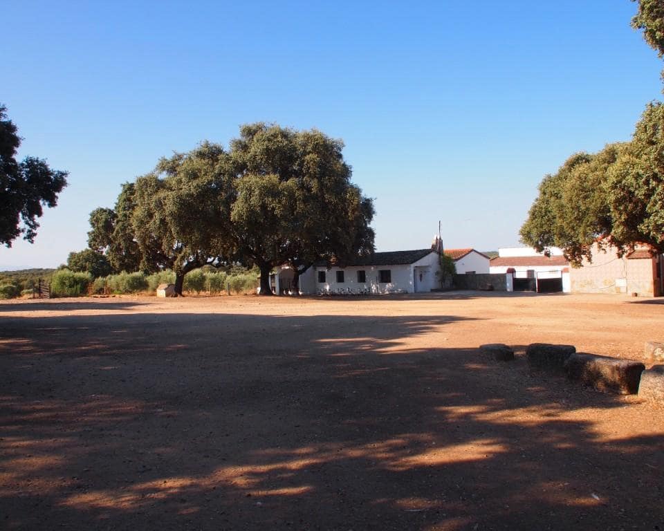 10 soveværelse Finca/Landehus til salg i Parrillas med swimmingpool - € 1.050.000 (Ref: 5755661)