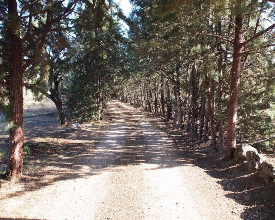 10 soveværelse Finca/Landehus til salg i Parrillas med swimmingpool - € 1.050.000 (Ref: 5755661)