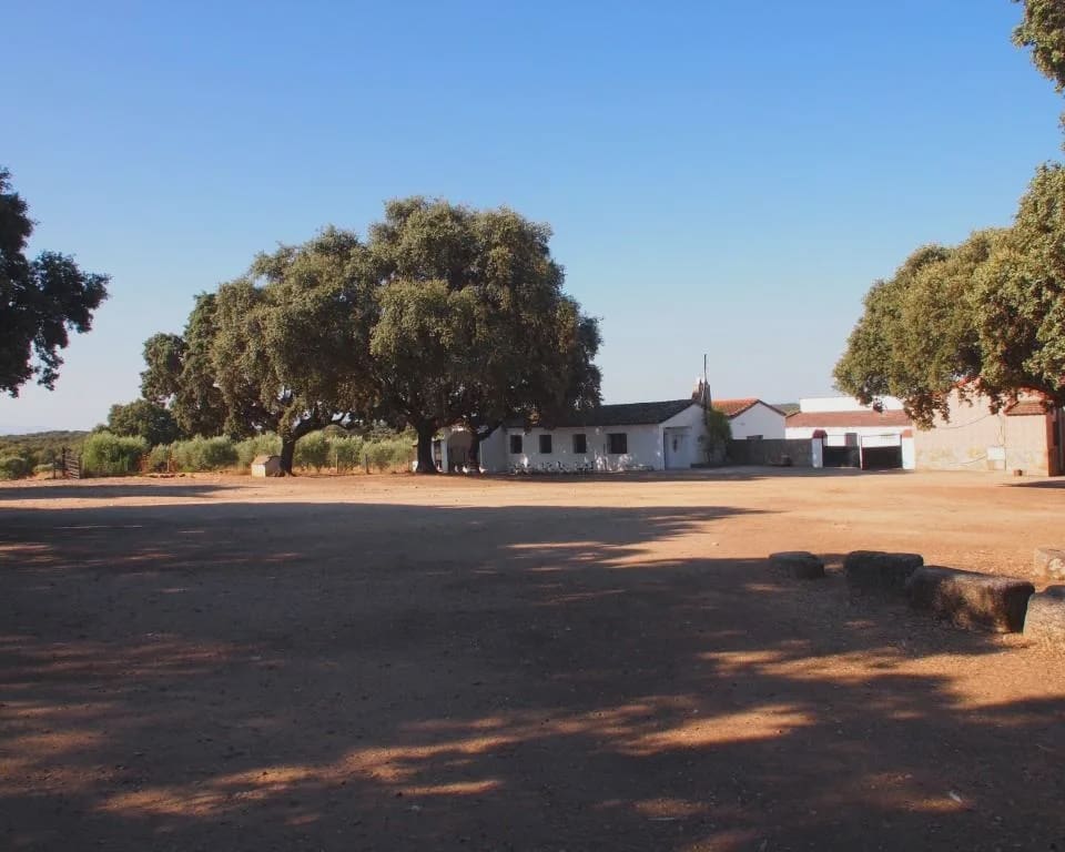 10 quarto Quinta/Casa Rural para venda em Parrillas com piscina - 1 050 000 € (Ref: 5755661)