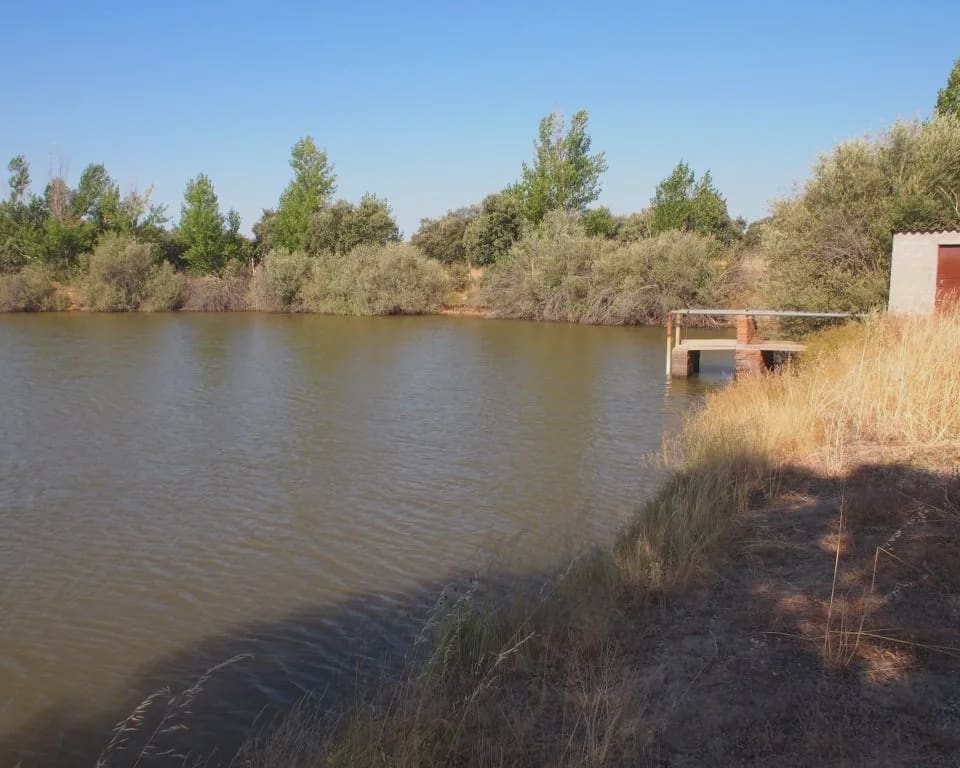 10 quarto Quinta/Casa Rural para venda em Parrillas com piscina - 1 050 000 € (Ref: 5755661)