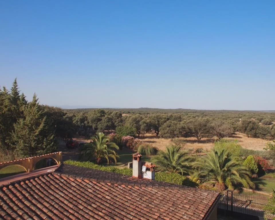 10 quarto Quinta/Casa Rural para venda em Parrillas com piscina - 1 050 000 € (Ref: 5755661)