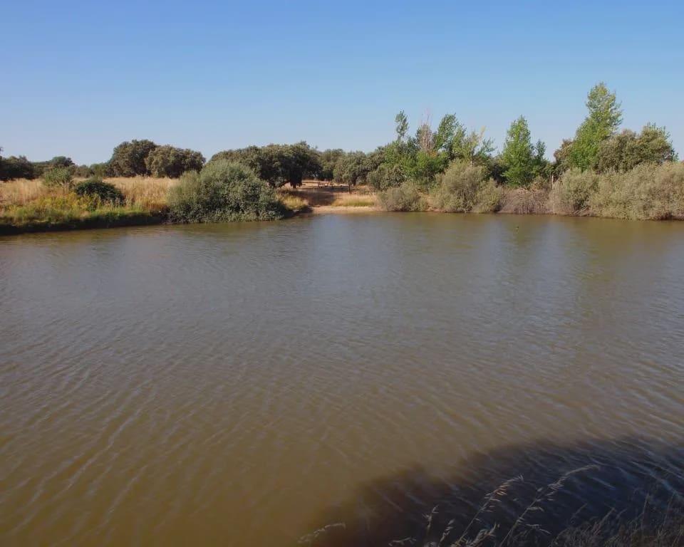 10 quarto Quinta/Casa Rural para venda em Parrillas com piscina - 1 050 000 € (Ref: 5755661)