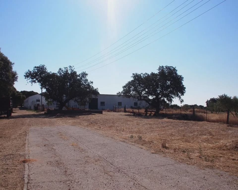 10 quarto Quinta/Casa Rural para venda em Parrillas com piscina - 1 050 000 € (Ref: 5755661)