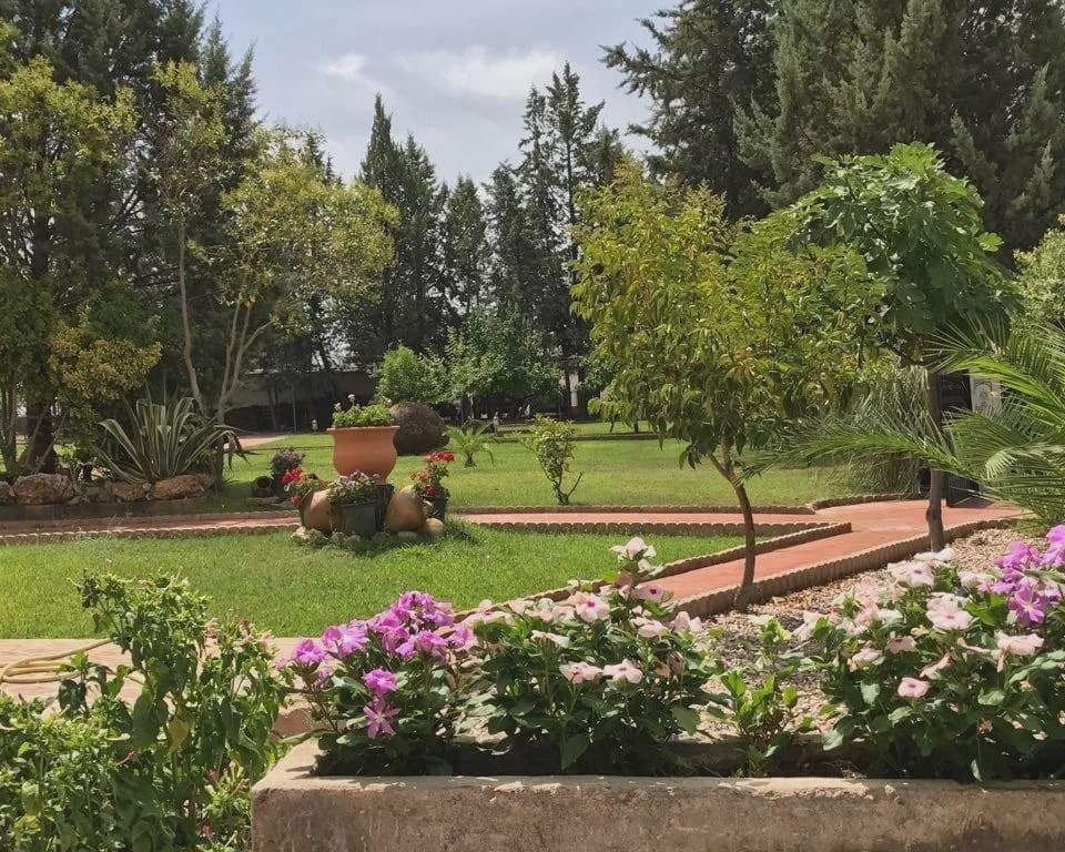 10 quarto Quinta/Casa Rural para venda em Parrillas com piscina - 1 050 000 € (Ref: 5755661)
