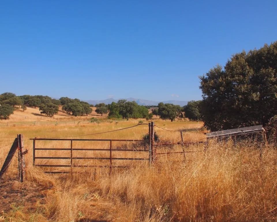 10 quarto Quinta/Casa Rural para venda em Parrillas com piscina - 1 050 000 € (Ref: 5755661)