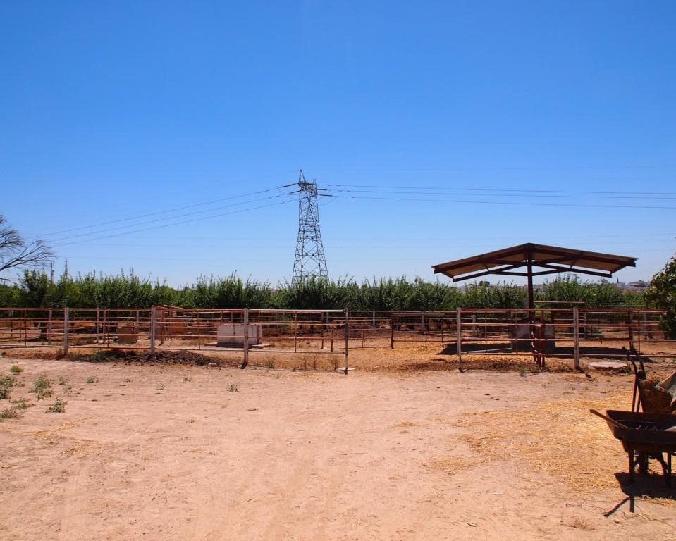 12 soveværelse Finca/Landehus til salg i Valencina de la Concepcion med swimmingpool garage - € 2.200.000 (Ref: 5803083)