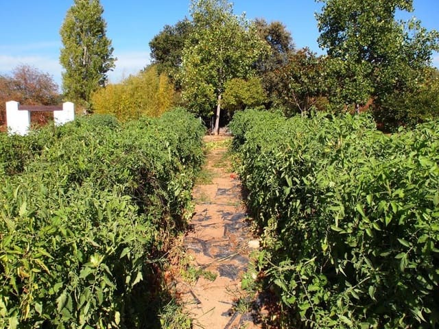 5 bedroom Finca/Country House for sale in Constantina with pool - € 1,600,000 (Ref: 5910050)