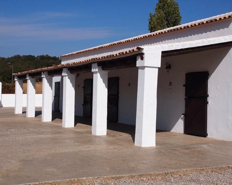 5 soveværelse Finca/Landehus til salg i Constantina med swimmingpool - € 1.600.000 (Ref: 5910050)