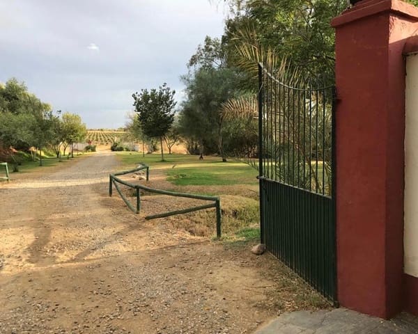 6 sypialnia Finka/Dom wiejski na sprzedaż w Burguillos z basenem garażem - 650 000 € (Ref: 6223412)