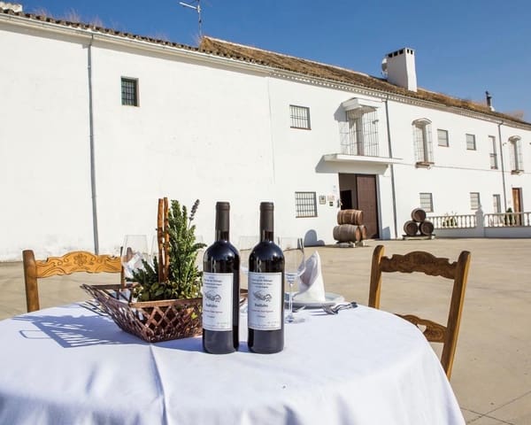 9 bedroom Hotel for sale in Aguilar de la Frontera with pool - € 600,000 (Ref: 6499534)