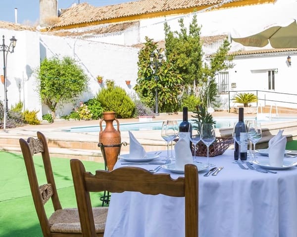 9 bedroom Hotel for sale in Aguilar de la Frontera with pool - € 600,000 (Ref: 6499534)