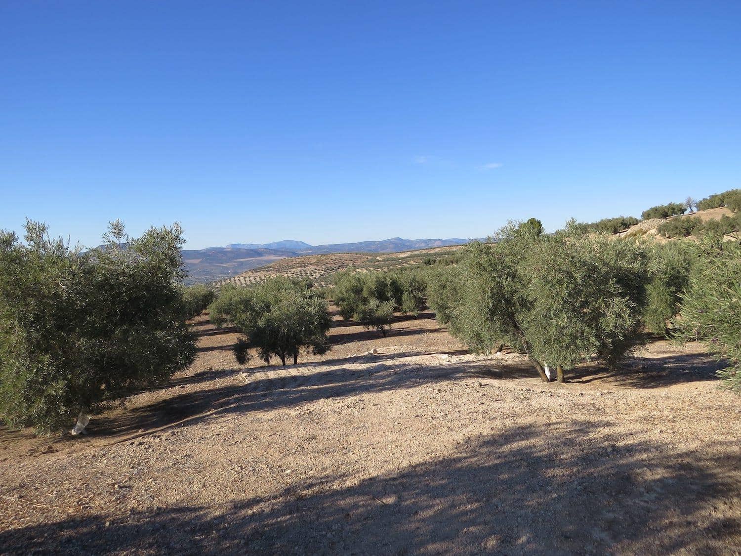 2 soveværelse Finca/Landehus til salg i Salar - € 180.000 (Ref: 6523054)