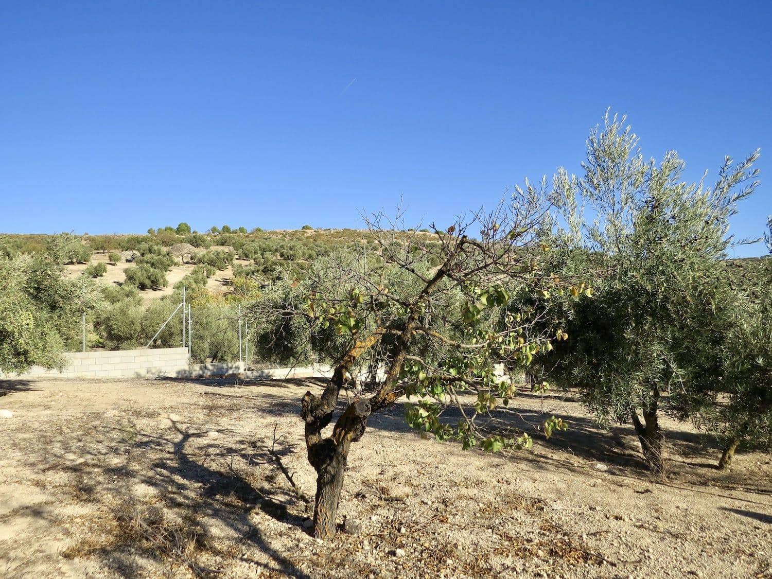 2 soveværelse Finca/Landehus til salg i Salar - € 180.000 (Ref: 6523054)