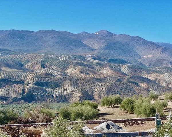 2 chambre Finca/Maison de Campagne à vendre à Salar avec piscine - 180 000 € (Ref: 6523054)