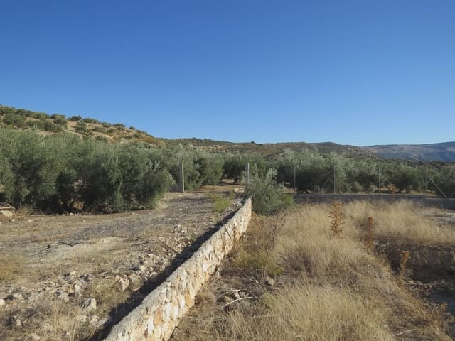 2 chambre Finca/Maison de Campagne à vendre à Salar avec piscine - 180 000 € (Ref: 6523054)