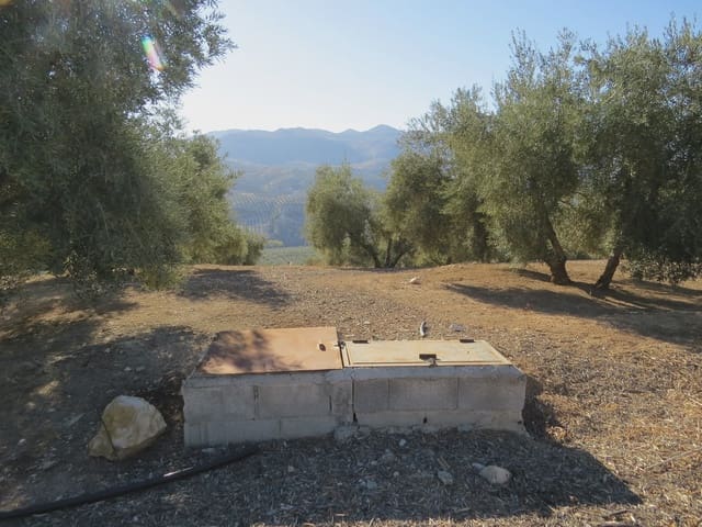 2 chambre Finca/Maison de Campagne à vendre à Salar avec piscine - 180 000 € (Ref: 6523054)
