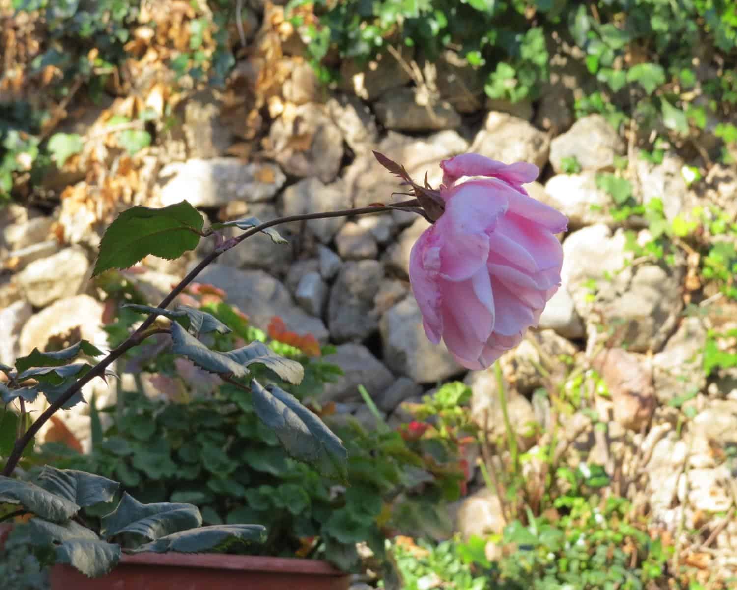 3 soveværelse Byhus til salg i Yegen med swimmingpool - € 149.500 (Ref: 6685673)