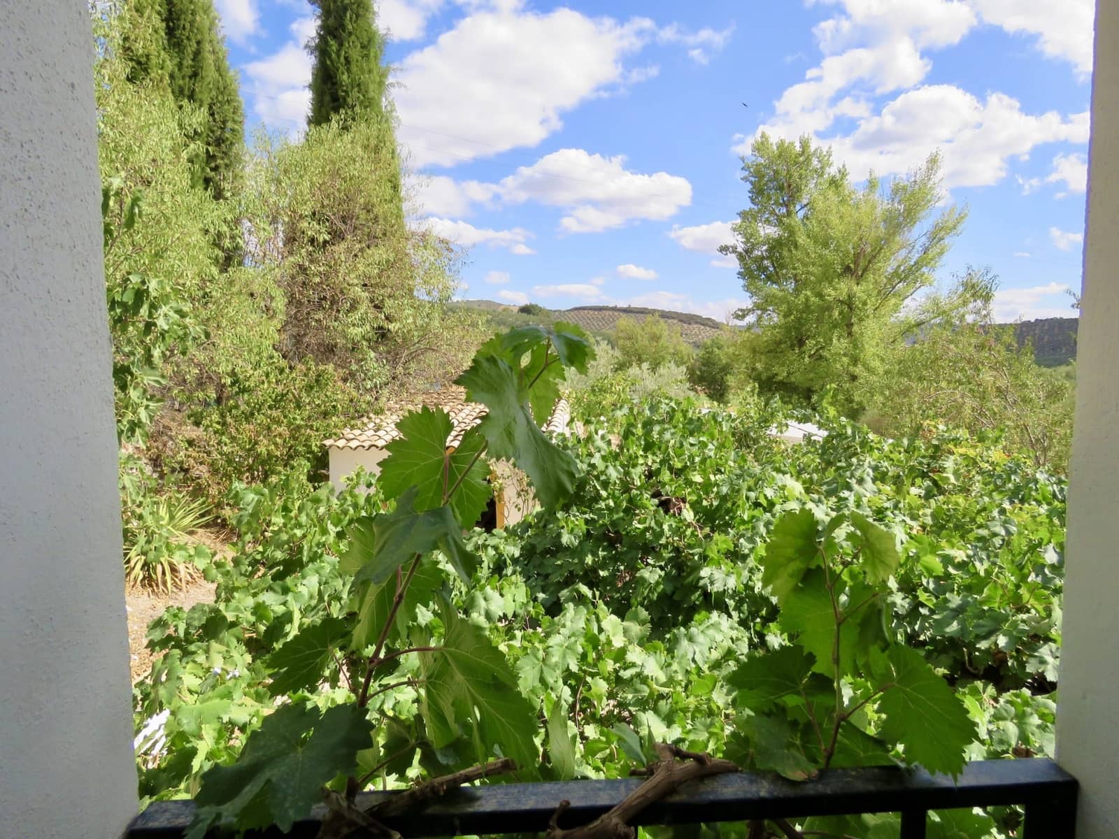 7 soveværelse Finca/Landehus til salg i Montefrio med swimmingpool garage - € 450.000 (Ref: 7131315)