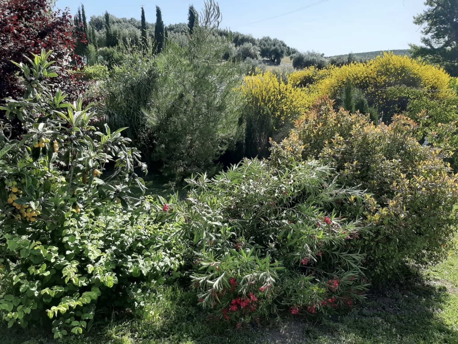 7 soveværelse Finca/Landehus til salg i Montefrio med swimmingpool garage - € 450.000 (Ref: 7131315)