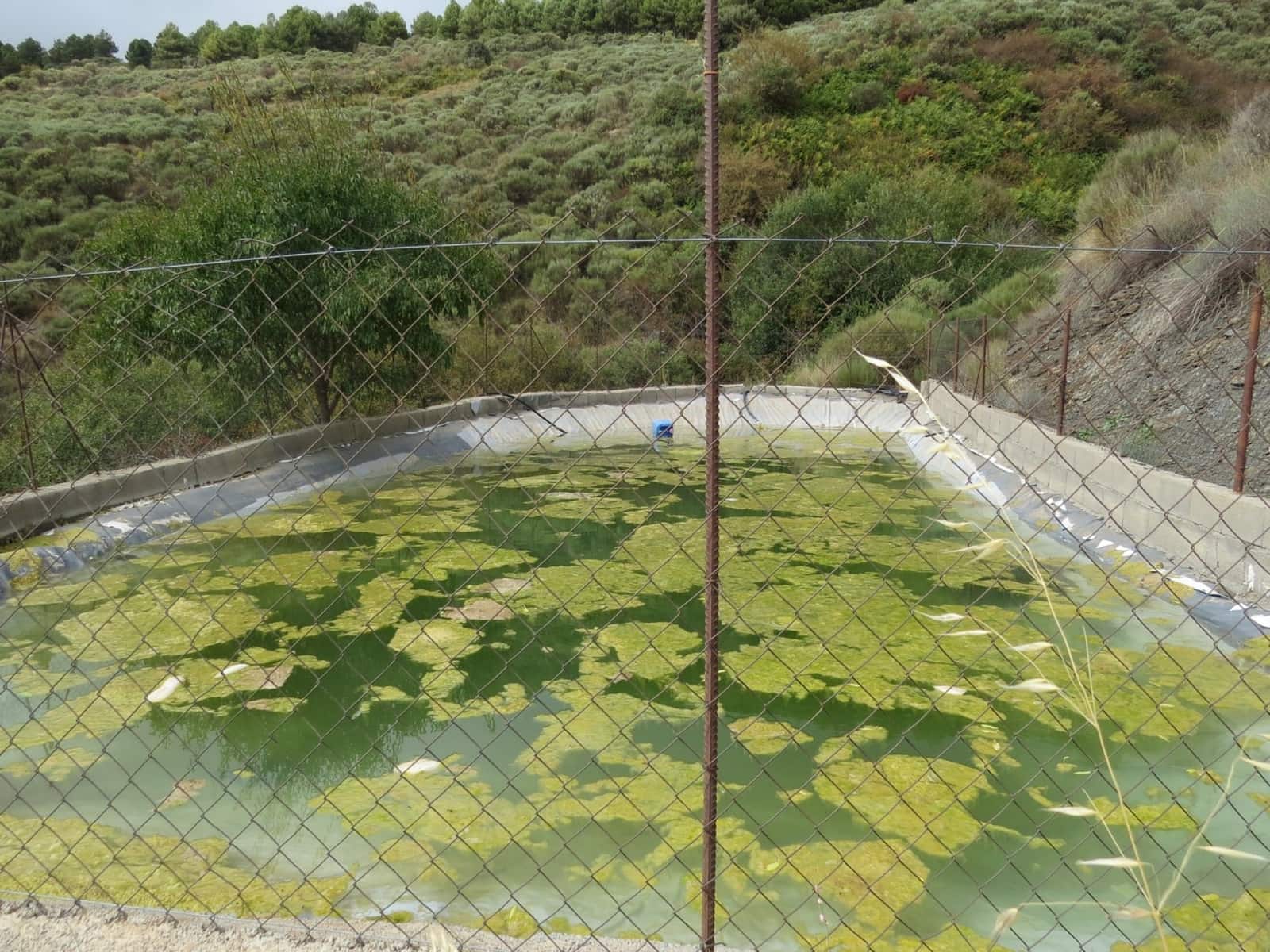 3 bedroom Finca/Country House for sale in Valor - € 240,000 (Ref: 7165997)