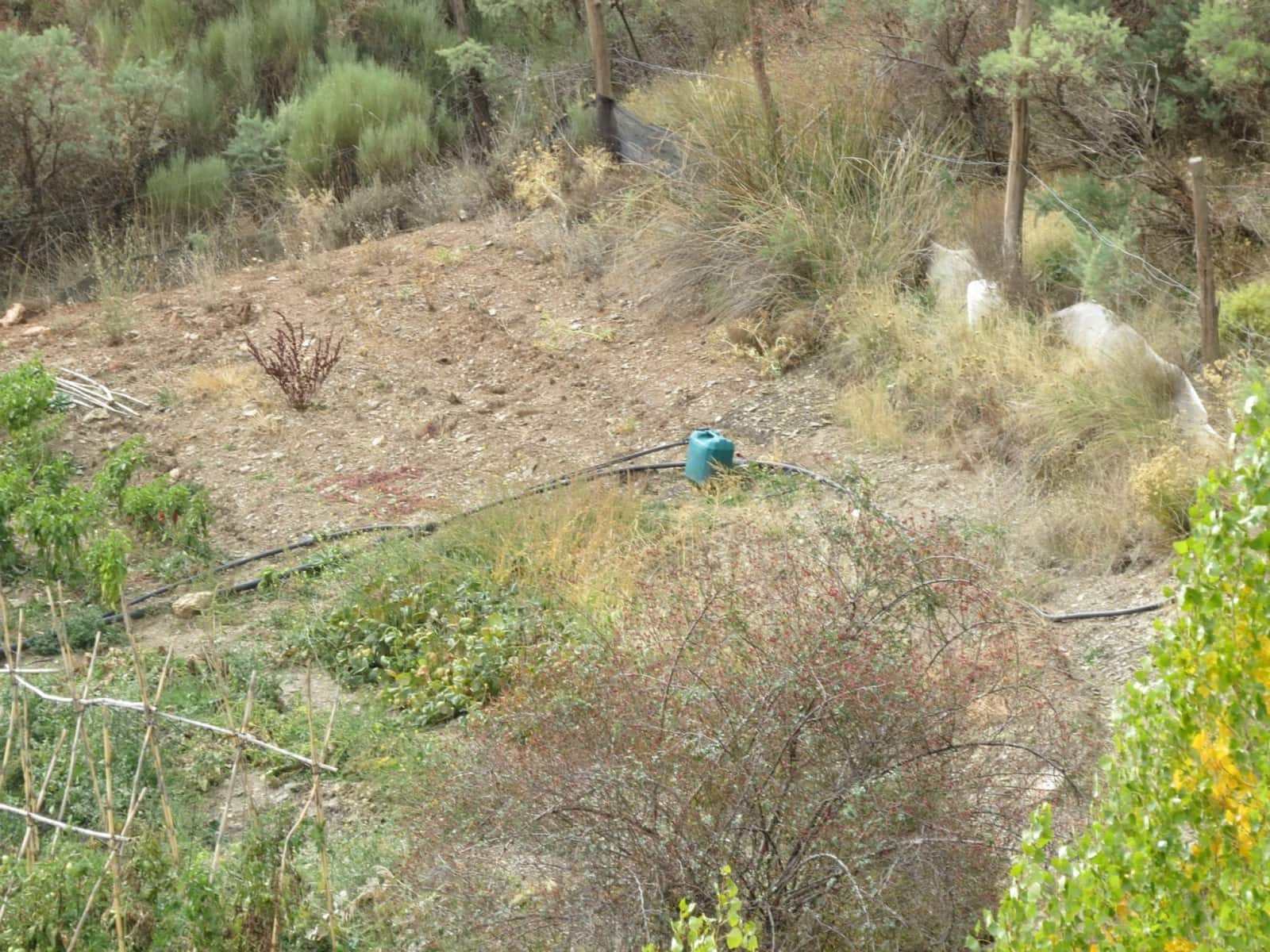 3 bedroom Finca/Country House for sale in Valor - € 240,000 (Ref: 7165997)