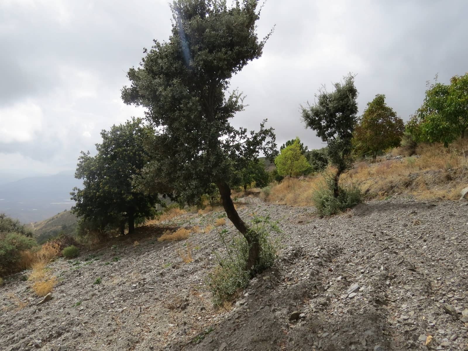 3 bedroom Finca/Country House for sale in Valor - € 240,000 (Ref: 7165997)