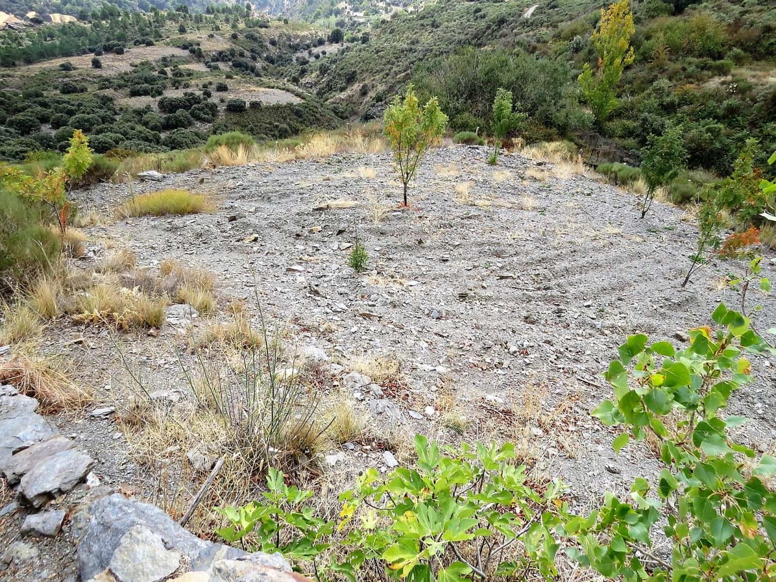 3 bedroom Finca/Country House for sale in Valor - € 240,000 (Ref: 7165997)