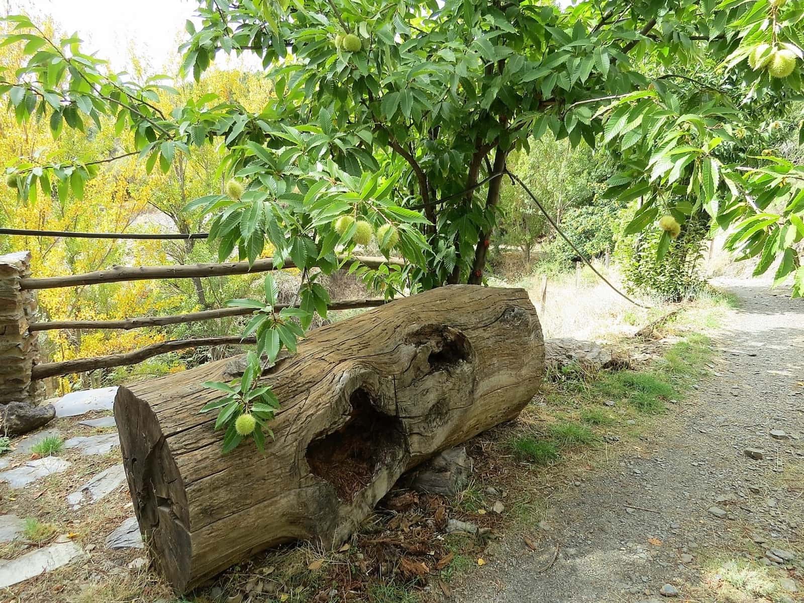 3 bedroom Finca/Country House for sale in Valor - € 240,000 (Ref: 7165997)