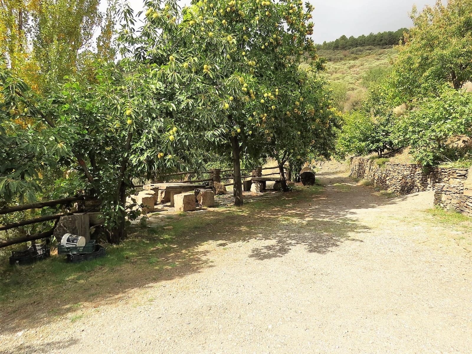 3 bedroom Finca/Country House for sale in Valor - € 240,000 (Ref: 7165997)