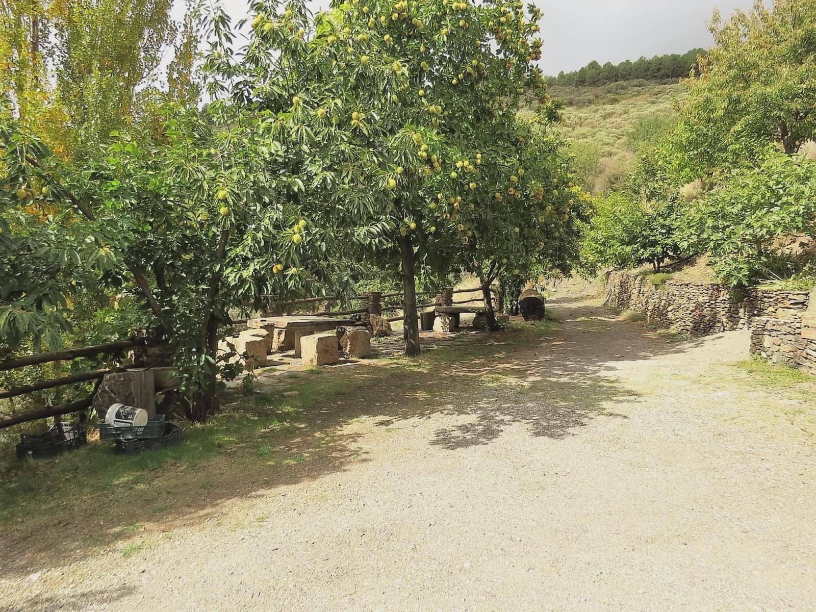 3 slaapkamer Finca/Landhuis te koop in Valor - € 240.000 (Ref: 7165997)