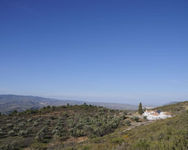 11 quarto Hotel para venda em Lecrín com piscina - 800 000 € (Ref: 7229620)