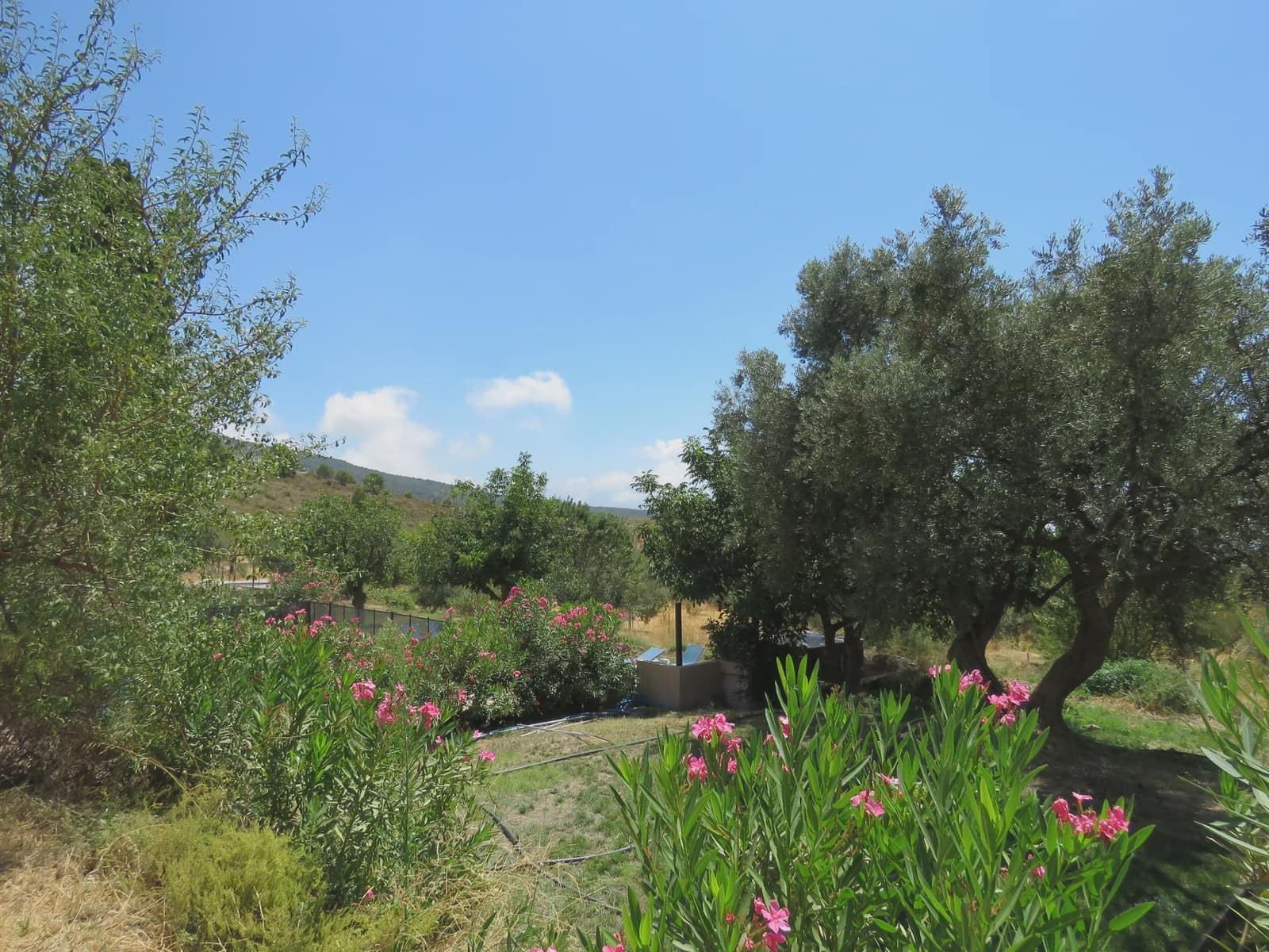 11 quarto Hotel para venda em Lecrin com piscina - 800 000 € (Ref: 7229620)