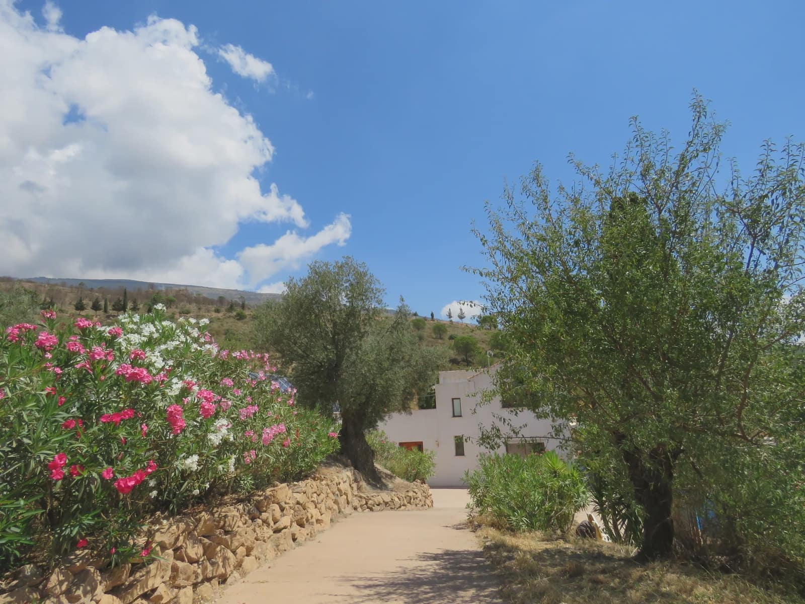 11 quarto Hotel para venda em Lecrin com piscina - 800 000 € (Ref: 7229620)