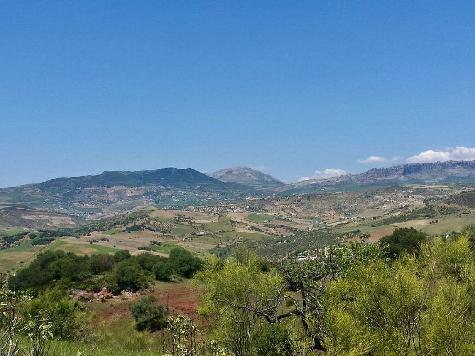 13 quarto Hotel para venda em Almogia com piscina - 2 200 000 € (Ref: 7391816)