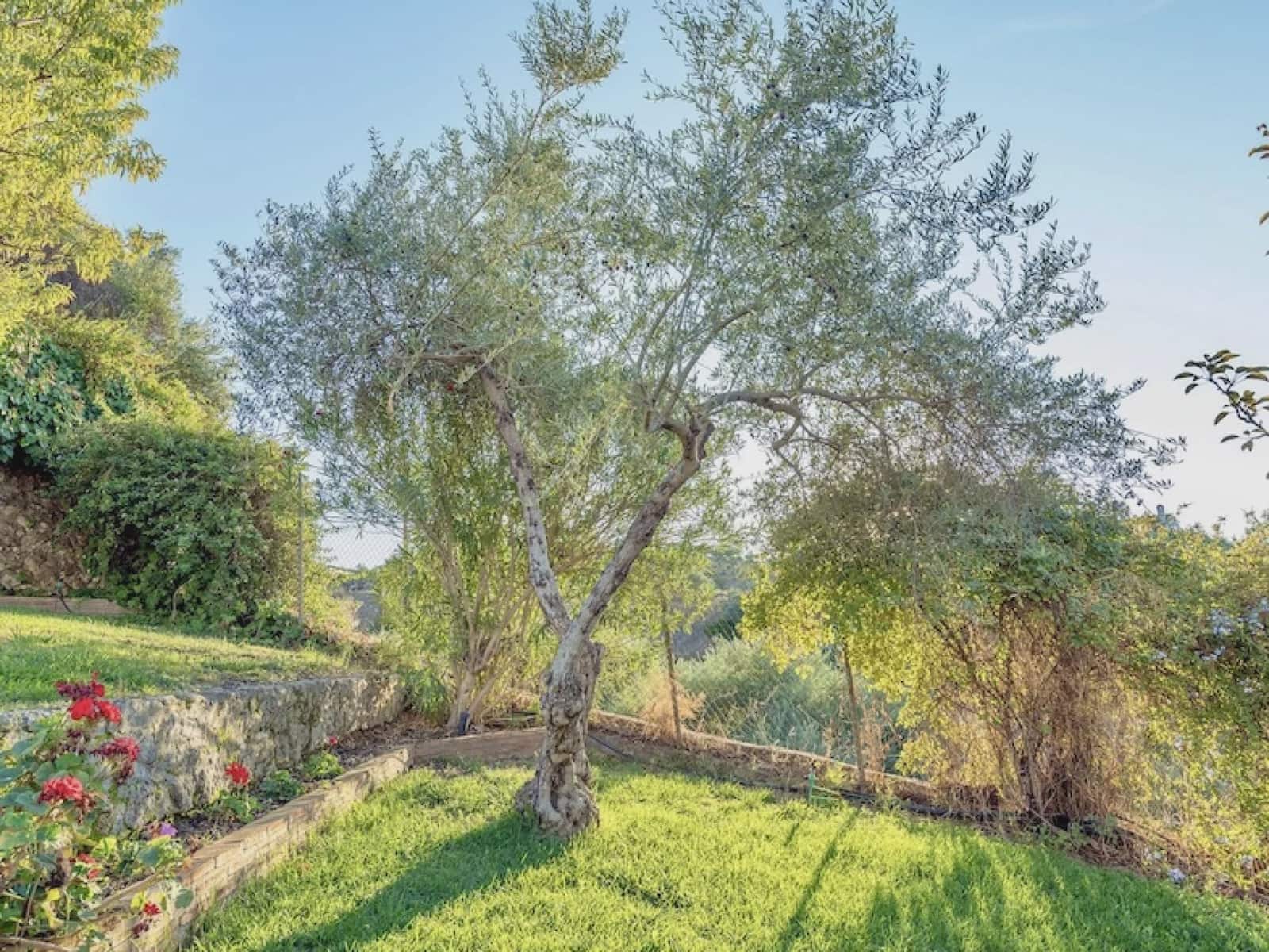 6 soverom Hus til salgs i La Puebla de los Infantes med svømmebasseng garasje - € 445 000 (Ref: 7418092)