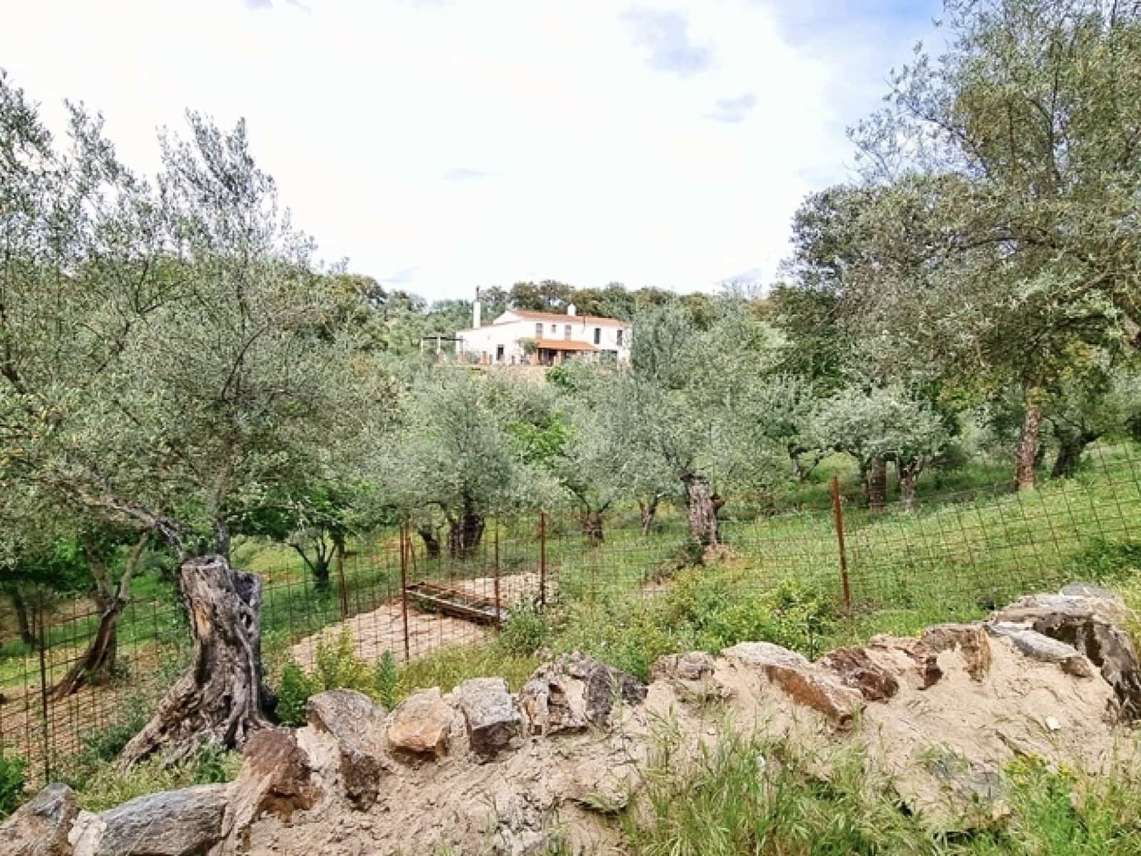 4 soveværelse Finca/Landehus til salg i La Nava med swimmingpool - € 520.000 (Ref: 7437588)