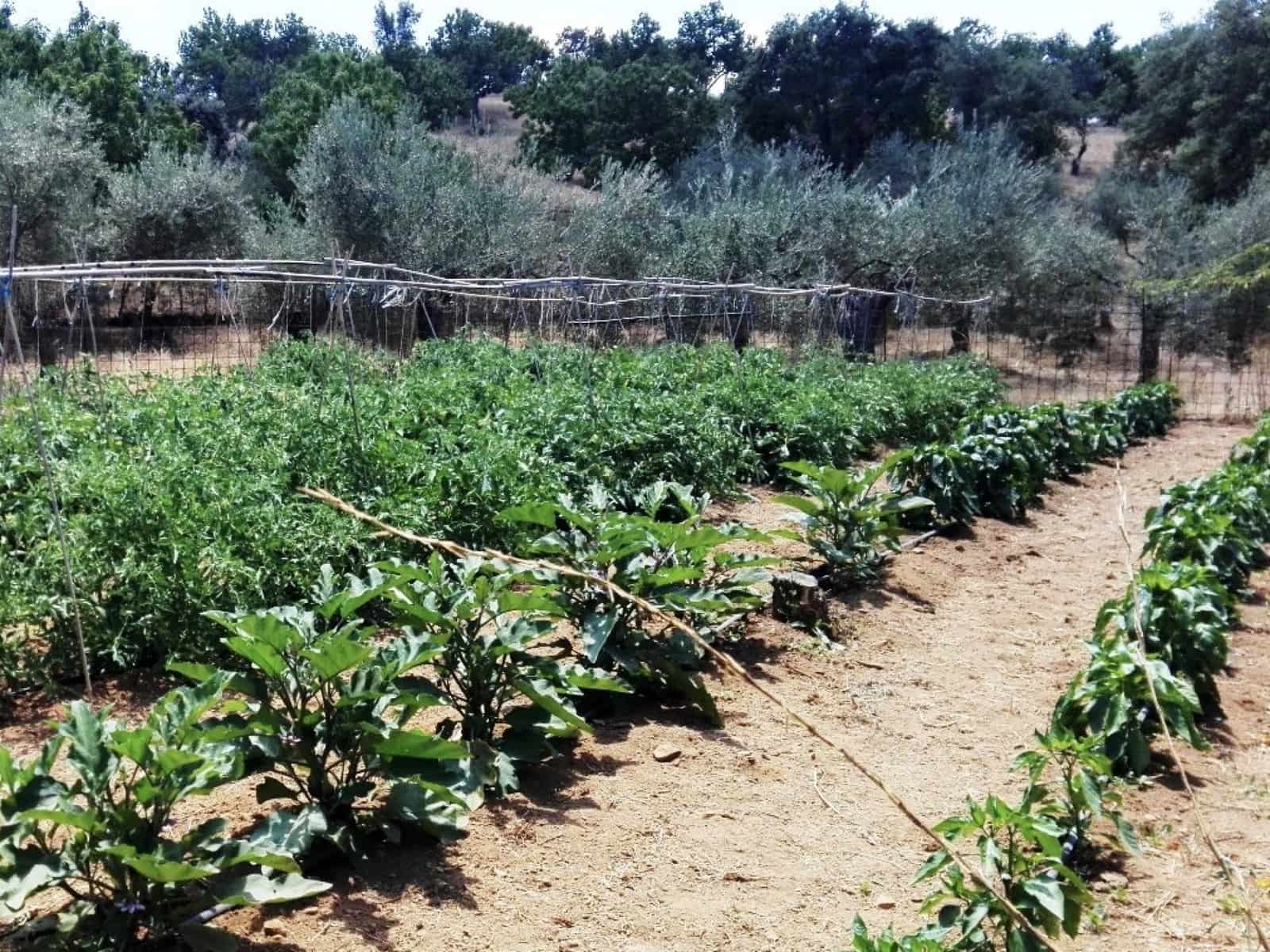 4 soveværelse Finca/Landehus til salg i La Nava med swimmingpool - € 520.000 (Ref: 7437588)